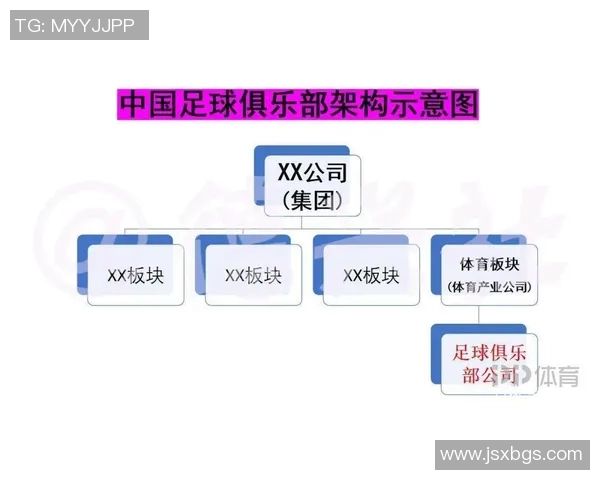 足球一级裁判员的职责与挑战解析以及对职业发展的影响探讨